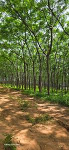 Image of 2268 Sq.ft Residential Plot / Land for sale in Kamkole, Sangareddy for Rs. 2000000