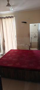 Bedroom Image of 800 Sq.ft 3 BHK Apartment / Flat for rent in Jagatpura Jaipur for Rs. 24000