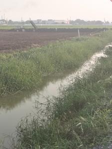 Image of 166 Sq.ft Residential Plot / Land for sale in Mangalagiri, Guntur for Rs. 5300005