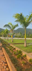 Image of 2000 Sq.ft Residential Plot / Land for sale in Bhogapuram, Visakhapatnam for Rs. 4000000