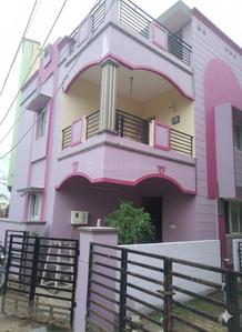 Image of Sam in Anakaputhur, Chennai