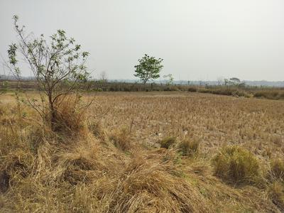 Image of 54450 Sq.ft Residential Plot / Land for sale in Mirza, Guwahati for Rs. 20000000