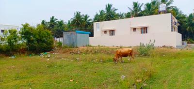 Image of 1968 Sq.ft Residential Plot / Land for sale in Mahalingapuram, Pollachi for Rs. 3000000