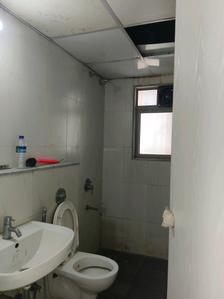 Common Bathroom Image of 750 Sq.ft 2 BHK Apartment / Flat for rent in Lodha Casa Rio by Lodha Group, Palava Phase 1 Thane for Rs. 18000