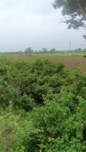 Image of 44515 Sq.ft Residential Plot / Land for sale in Bangrasia, Bhopal for Rs. 38500000