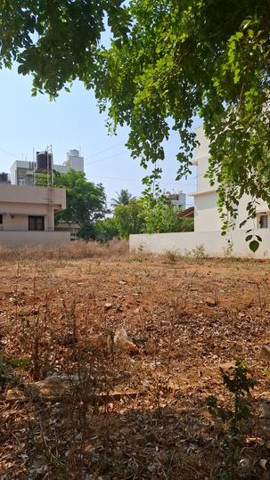SLV SLV Suvarna Main Image 1