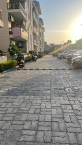Image of 765 Sq.ft 2 BHK Apartment / Flat for rent in Gillco Palms, Sector 115, Mohali for Rs. 18000