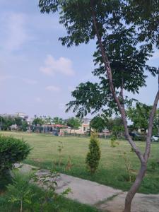 Image of 1377 Sq.ft Residential Plot / Land for sale in Sector 77, Mohali for Rs. 26950000