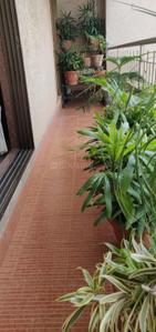 Balcony Image of 1452 Sq.ft 3 BHK Apartment / Flat for sale in Matoshree Pearl, Mahim Mumbai for Rs. 60000000