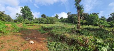 Image of 270 Sq.ft Residential Plot / Land for sale in Boma, Goa for Rs. 2430000