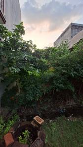 Para Plot View 3