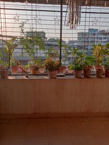 Balcony Image of 850 Sq.ft 1 BHK Apartment / Flat for sale in Badlapur East Badlapur for Rs. 3500000