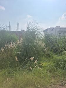 sector 37 Plot View 2