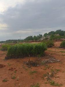 Image of 121 Sq.ft Residential Plot / Land for sale in Shadnagar, Ranga Reddy for Rs. 1000000