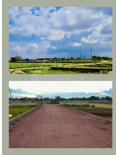 Baroli Ahir Main Image 1