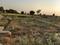 Mohanpura Main Image 1