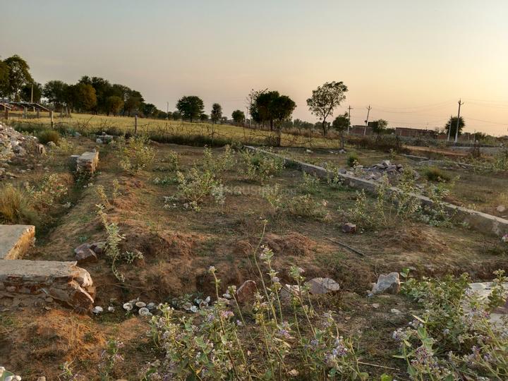 Mohanpura Main Image 1