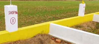 Bihta Plot View 3