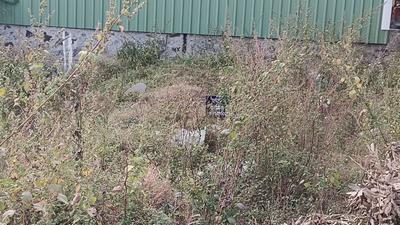 Image of 1000 Sq.ft Residential Plot / Land for sale in Wagholi, Pune for Rs. 2600000