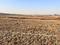 Koproli Plot View 2