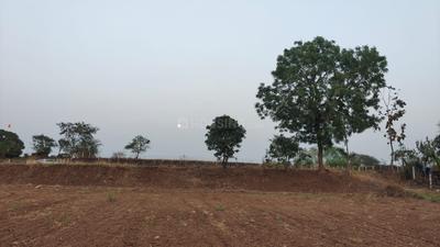 Image of 18764 Sq.ft Residential Plot / Land for sale in Gangapur, Nashik for Rs. 7000000