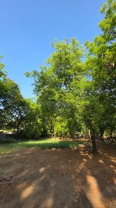 Image of 1222 Sq.ft Residential Plot / Land for sale in Bodakdev, Ahmedabad for Rs. 152500000