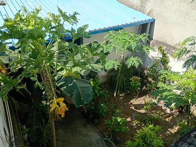 Image of 1525 Sq.ft 3 BHK Independent House for sale in Haripur Kalan, Haridwar for Rs. 12000000