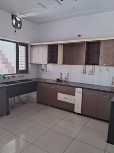 Kitchen Image of 1800 Sq.ft 2 BHK Apartment / Flat for rent in Sector 32A Ludhiana for Rs. 18000