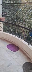 Balcony Image of 1150 Sq.ft 3 BHK Villa for rent in Karelibagh Vadodara for Rs. 11000
