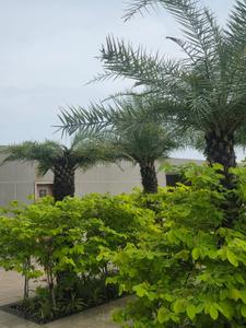 Image of 1400 Sq.ft Residential Plot / Land for sale in Kamal Vihar, Raipur for Rs. 2590000