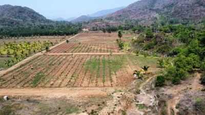 Image of 5796 Sq.ft Residential Plot / Land for sale in Narsipatnam, Visakhapatnam for Rs. 1500000