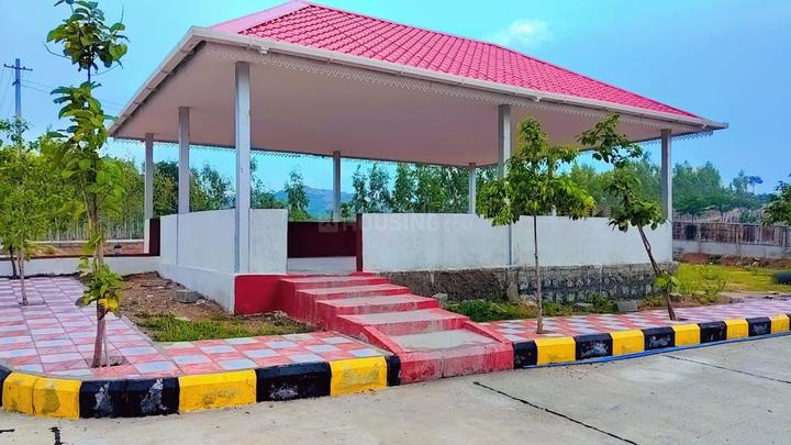 Indo Orr East Organica Main Image 1