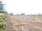 Perne Plot View 2