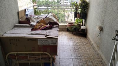 Living Room Image of 1200 Sq.ft 2 BHK Apartment / Flat for rent in Ekdant Apartment, Kothrud Pune for Rs. 42000