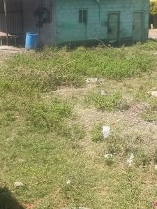 Image of 4243 Sq.ft Residential Plot / Land for sale in Suleeswaranpatti, Pollachi for Rs. 8766000