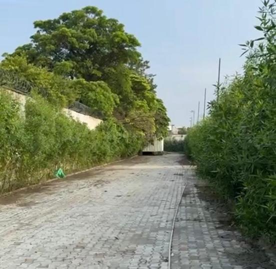 Sector D, Vasant Kunj Main Image 1