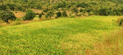 Image of 11000 Sq.ft Residential Plot / Land for sale in Varve Khurd, Pune for Rs. 2100000