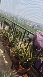 Balcony Image of 2095 Sq.ft 3.5 BHK Apartment / Flat for sale in ACE Golfshire, Sector 150 Noida for Rs. 27500000