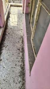 Image of 710 Sq.ft 2 BHK Apartment / Flat for sale in Keshtopur, Kolkata for Rs. 2100000