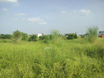 Image of 50 Sq.ft Residential Plot / Land for sale in YEIDA Individual Residential Plots, Yeida, Greater Noida for Rs. 751000