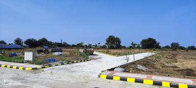 NSR County Plot View 3