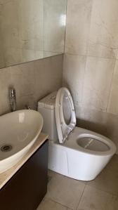 Bathroom Image of 2906 Sq.ft 4 BHK Apartment / Flat for sale in Panchshil Eon Waterfront, Kharadi Pune for Rs. 41000000