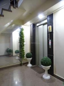 Hall Image of 1440 Sq.ft 3 BHK Builder Floor for rent in Chittaranjan Park New Delhi for Rs. 81000