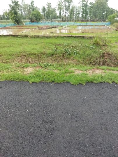 Fertilizer Colony Main Image 1
