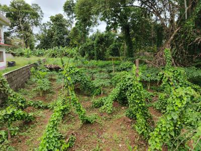 Image of 5880 Sq.ft Residential Plot / Land for sale in Perumbavoor, Kochi for Rs. 6750000