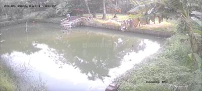 Image of 41010 Sq.ft 4 BHK Farm House for sale in Sonarpur, Kolkata for Rs. 30000000