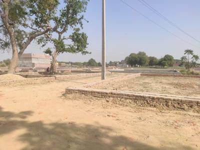Image of 900 Sq.ft Residential Plot / Land for sale in Kalindipuram, Allahabad for Rs. 1600002