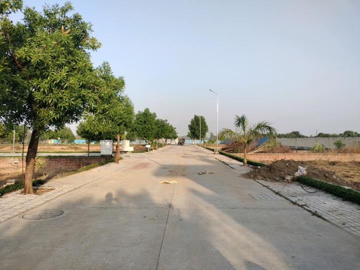 Soha Neal City Main Image 1