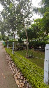Image of 1055 Sq.ft 2 BHK Apartment / Flat for rent in Transport Nagar, Lucknow for Rs. 14500