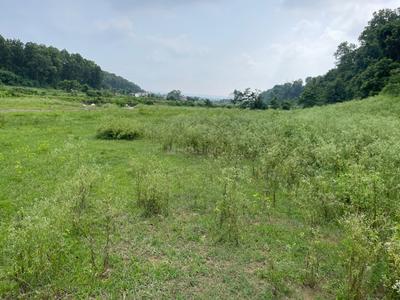 Image of 1800 Sq.ft Residential Plot / Land for sale in Phulsani, Dehradun for Rs. 4500000